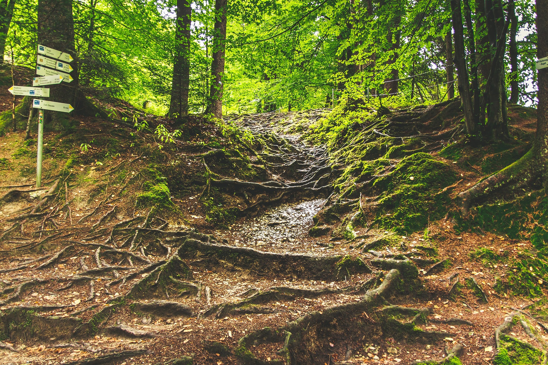 download?guid=48fa77e6-4b50-428c-8aeb-3371a393ce12&hash_sha1=c7760a54